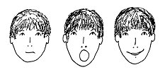 weibe6